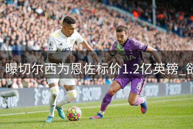 曝切尔西为恩佐标价1.2亿英镑 欲在英超开赛前完成转会